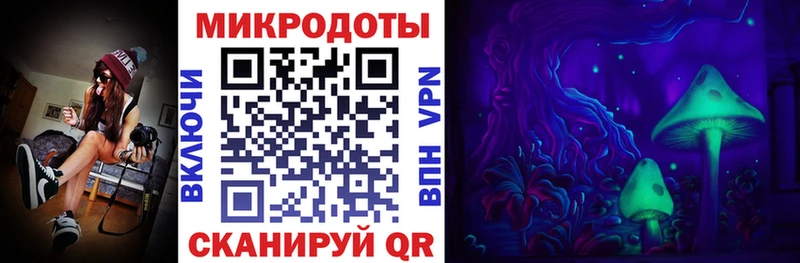 купить наркотики сайты  Димитровград  Псилоцибиновые грибы ЛСД 