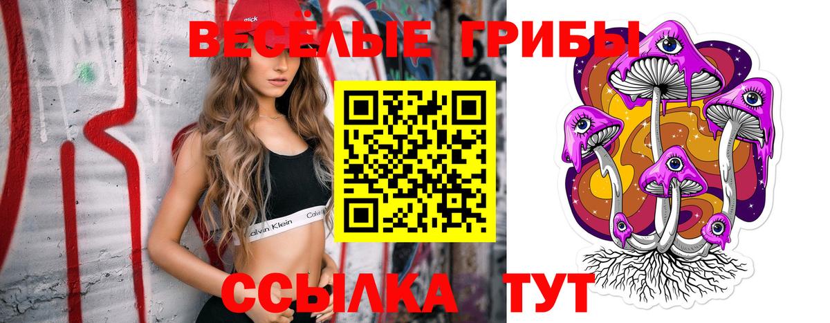 Галлюциногенные грибы GOLDEN TEACHER  Вход с VPN  цена   Димитровград 