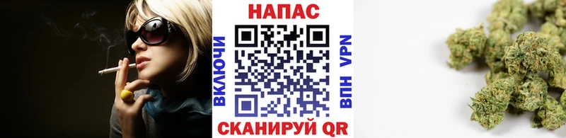 блэк спрут ссылки  Димитровград  Конопля семена 