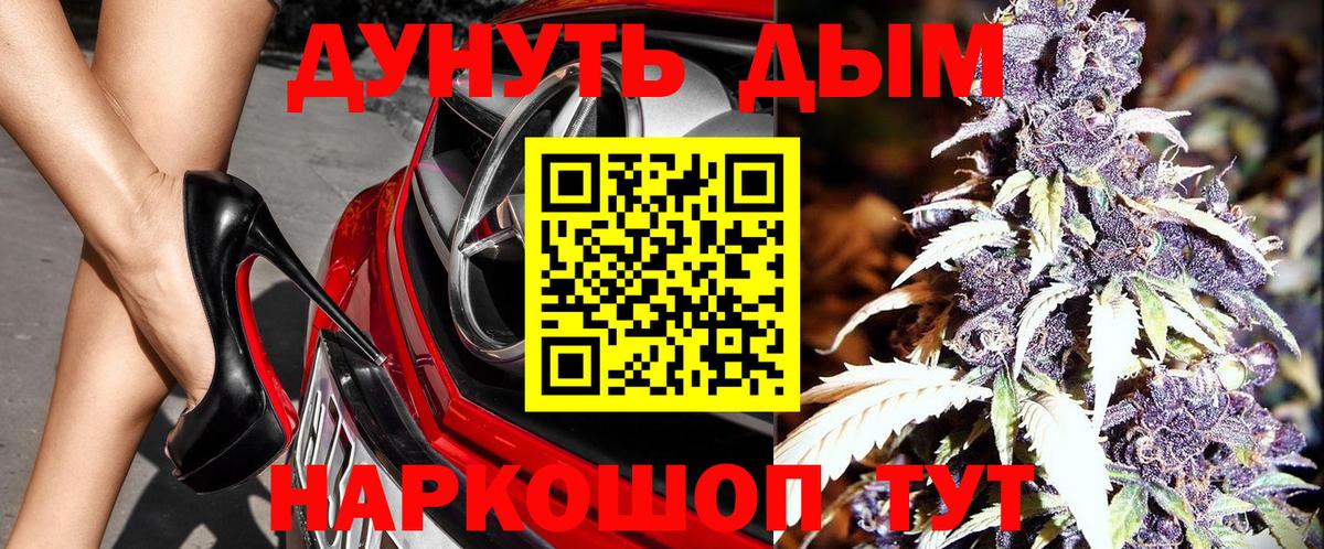 Канабис план Димитровград